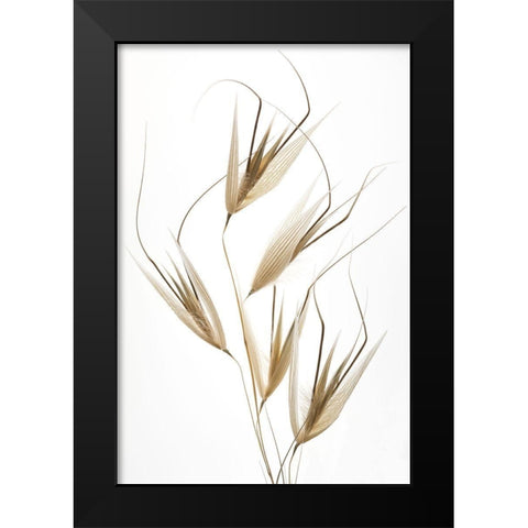 Delicacy Of Nature Black Modern Wood Framed Art Print by Lagandre, Thierry