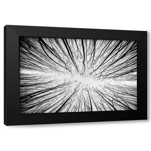 Up To The Sky Black Modern Wood Framed Art Print by Denisvesely