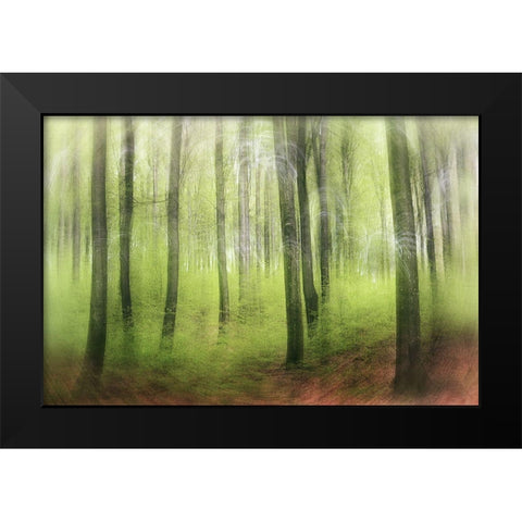 Spring Impression Black Modern Wood Framed Art Print by Davidsson, Gustav