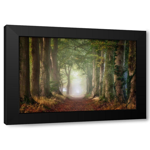 Forward Black Modern Wood Framed Art Print by Borggreve, Ellen