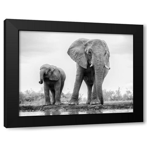 Duo Black Modern Wood Framed Art Print by Marx, Jaco