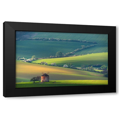 About Forms A Lines Black Modern Wood Framed Art Print by Sokolovsky, Vlad