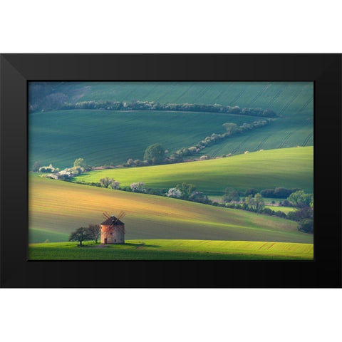 About Forms A Lines Black Modern Wood Framed Art Print by Sokolovsky, Vlad