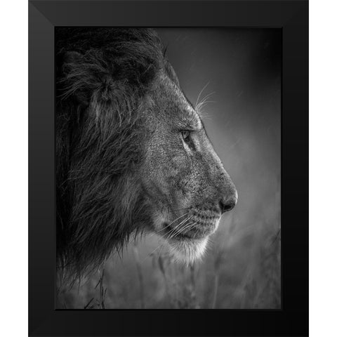 Thinking Under The Rain Black Modern Wood Framed Art Print by Alnomas, Faisal