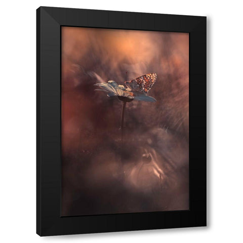 Pyrotechnics Black Modern Wood Framed Art Print by Bravin, Fabien