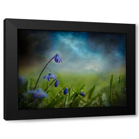 After The Spring Rain Black Modern Wood Framed Art Print by Kvarnstrom, Asmund