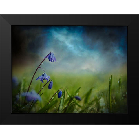 After The Spring Rain Black Modern Wood Framed Art Print by Kvarnstrom, Asmund
