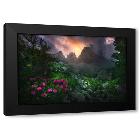 Garden Of Eden #2 Black Modern Wood Framed Art Print by Rebustini, Luca