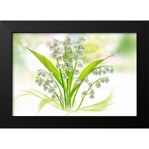 Lily Of The Valley Black Modern Wood Framed Art Print by Parker, Jacky