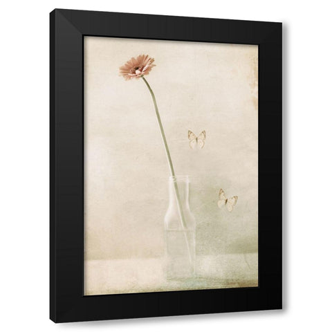 Miss Daisy Black Modern Wood Framed Art Print with Double Matting by Devos, Delphine