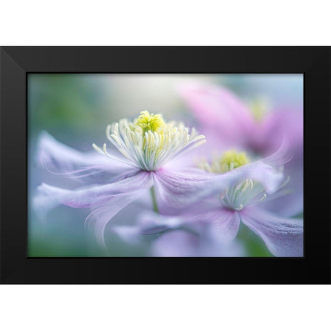 Sway Black Modern Wood Framed Art Print by Parker, Jacky