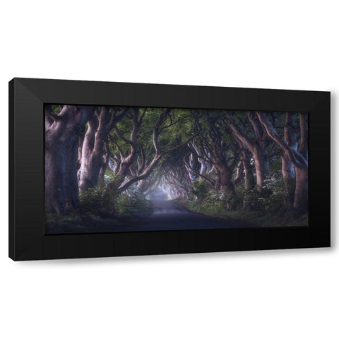 The Dark Hedges Black Modern Wood Framed Art Print by Gastager, Daniel