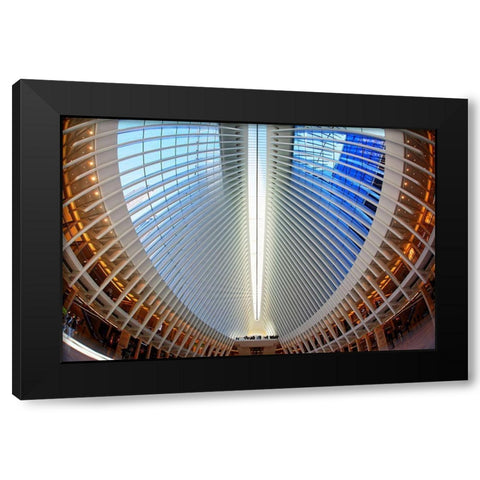 Oculus Black Modern Wood Framed Art Print by Fleckenstein, Martin
