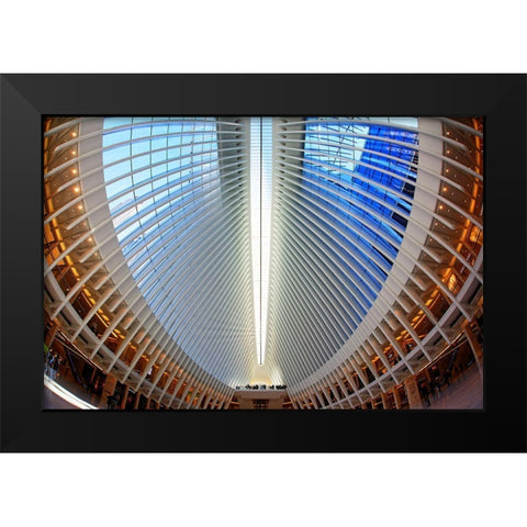 Oculus Black Modern Wood Framed Art Print by Fleckenstein, Martin