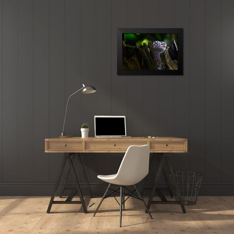 Cute Smile Black Modern Wood Framed Art Print by Maududdin, Fauzan