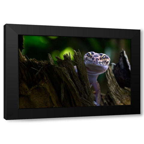 Cute Smile Black Modern Wood Framed Art Print by Maududdin, Fauzan