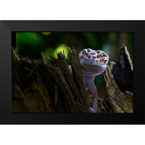 Cute Smile Black Modern Wood Framed Art Print by Maududdin, Fauzan