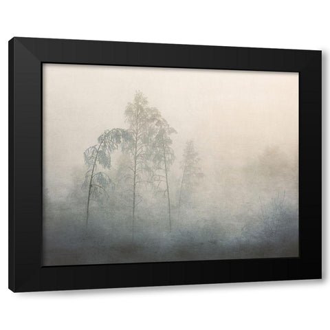 -20 Black Modern Wood Framed Art Print with Double Matting by Kvarnstrom, Asmund