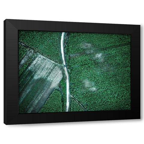 Pure Green Black Modern Wood Framed Art Print by Chengzhou, Zhou