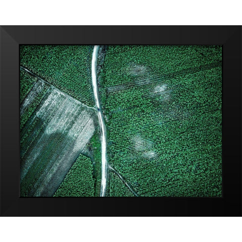 Pure Green Black Modern Wood Framed Art Print by Chengzhou, Zhou