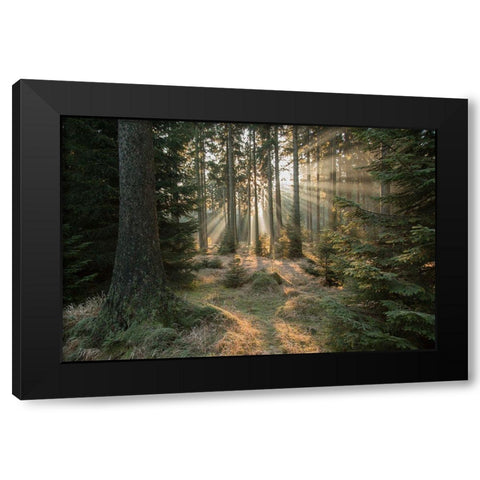 Rays-Part 2 Black Modern Wood Framed Art Print by Croce, Vincent