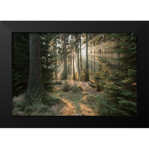 Rays-Part 2 Black Modern Wood Framed Art Print by Croce, Vincent