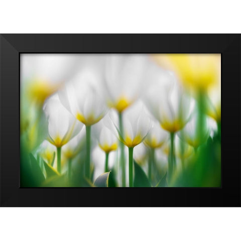 Overlapping White Black Modern Wood Framed Art Print by Suzuki, Takashi