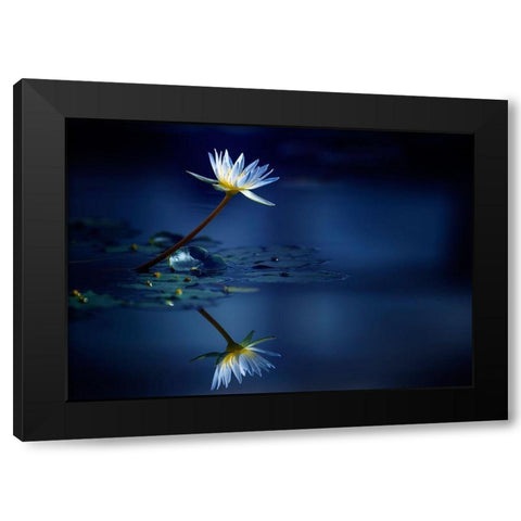 Reflection Black Modern Wood Framed Art Print by Suzuki, Takashi