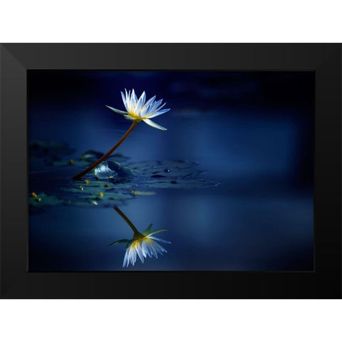 Reflection Black Modern Wood Framed Art Print by Suzuki, Takashi