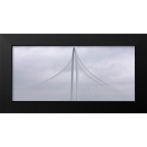 Floating Black Modern Wood Framed Art Print by Autry, Steven