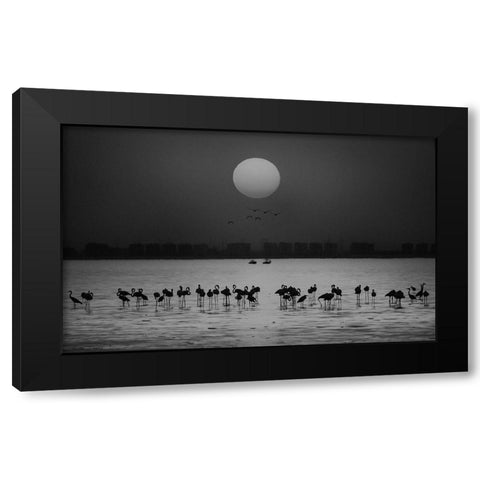 At A Glance Black Modern Wood Framed Art Print with Double Matting by Thabet, Ahmed