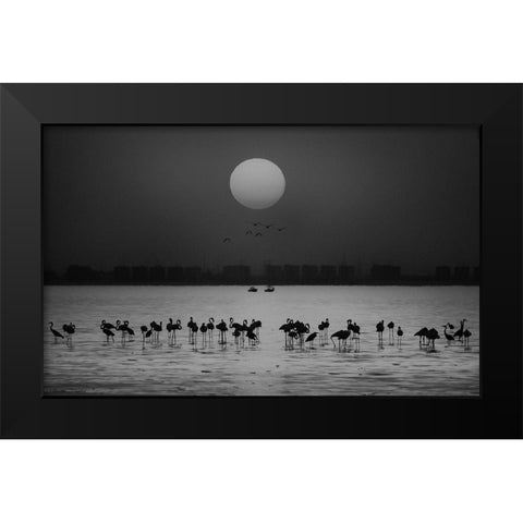 At A Glance Black Modern Wood Framed Art Print by Thabet, Ahmed