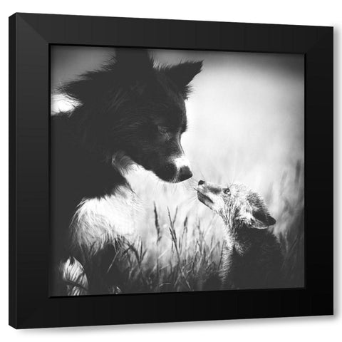 ... First Contact ... Black Modern Wood Framed Art Print by Gerec, Pali