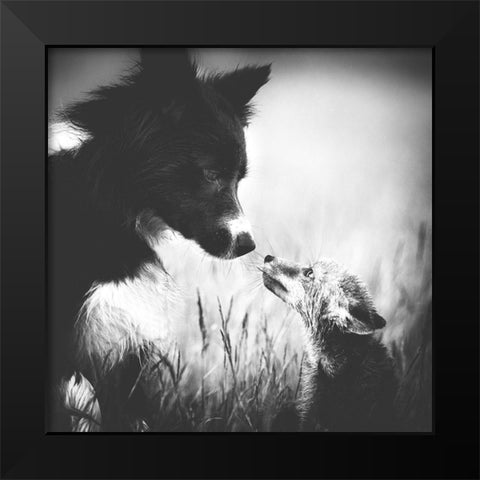 ... First Contact ... Black Modern Wood Framed Art Print by Gerec, Pali