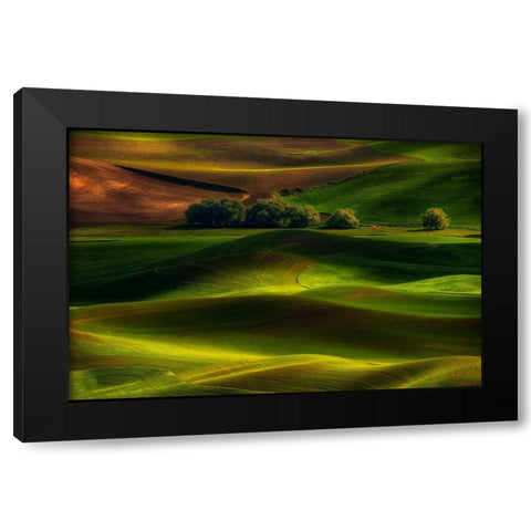 Spring In The Palouse Black Modern Wood Framed Art Print by Jacobs, Lydia