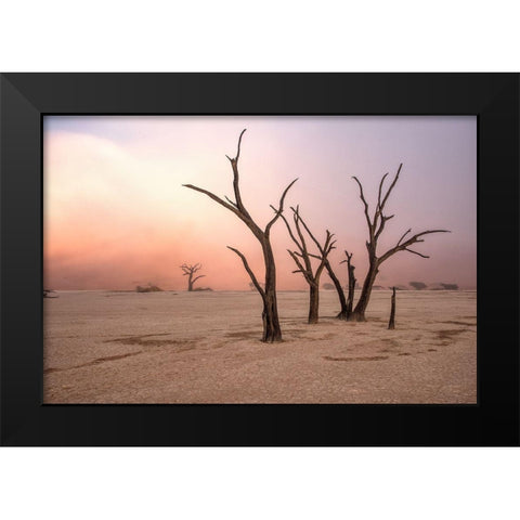Fog In Deadvlei Black Modern Wood Framed Art Print by Damico, Giuseppe