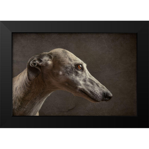 Anna Black Modern Wood Framed Art Print by Willers, Heike