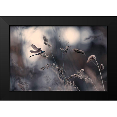 Le Vent Lemportera Black Modern Wood Framed Art Print by Bravin, Fabien