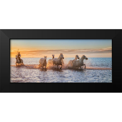 Camargue Horses Ii Black Modern Wood Framed Art Print by Figueras Barranco, Antoni