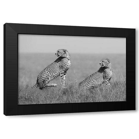 Whats Going On Here Around? Black Modern Wood Framed Art Print by Pozzi, Marco