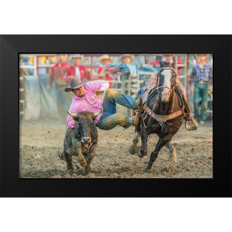 Steer Wrestling Black Modern Wood Framed Art Print by Hua, David