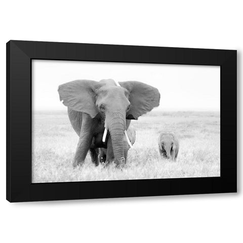 Stay Away! Black Modern Wood Framed Art Print by Fan, John