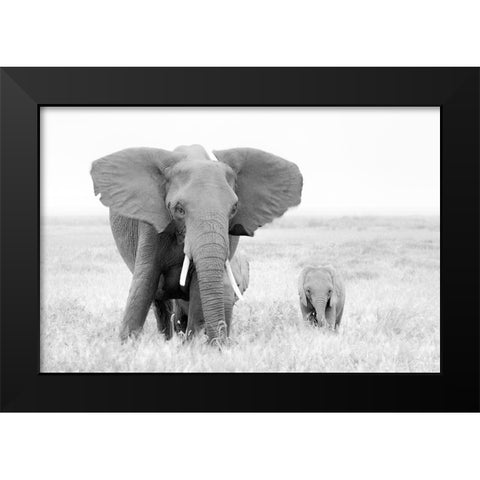 Stay Away! Black Modern Wood Framed Art Print by Fan, John