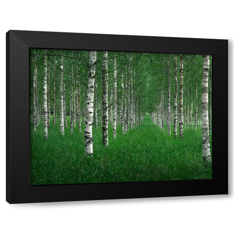 The Tunnel Black Modern Wood Framed Art Print by Lindsten, Christian