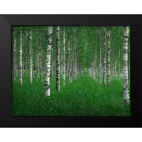 The Tunnel Black Modern Wood Framed Art Print by Lindsten, Christian