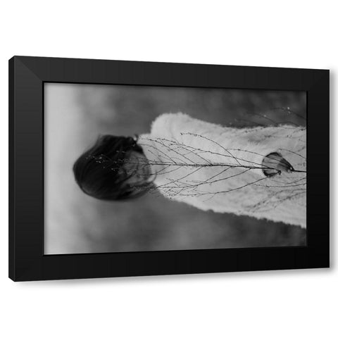 Winter Black Modern Wood Framed Art Print with Double Matting by Wetton, Eddie