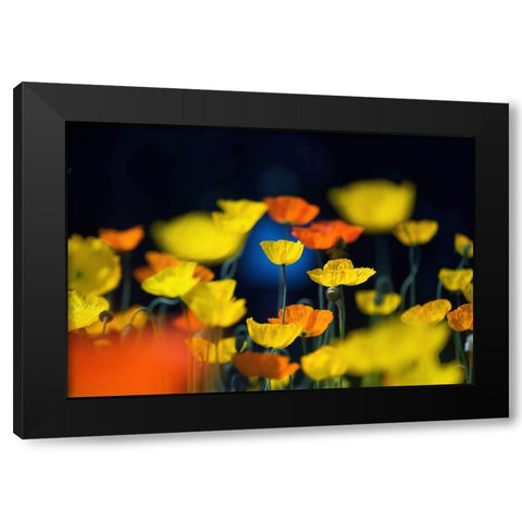 One Point Black Modern Wood Framed Art Print with Double Matting by Suzuki, Takashi
