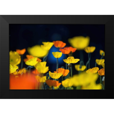 One Point Black Modern Wood Framed Art Print by Suzuki, Takashi