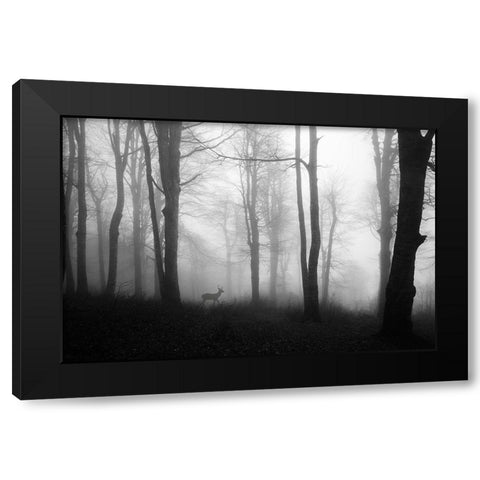 Forest Black Modern Wood Framed Art Print by Nisan Kandilcioglu, Ummu