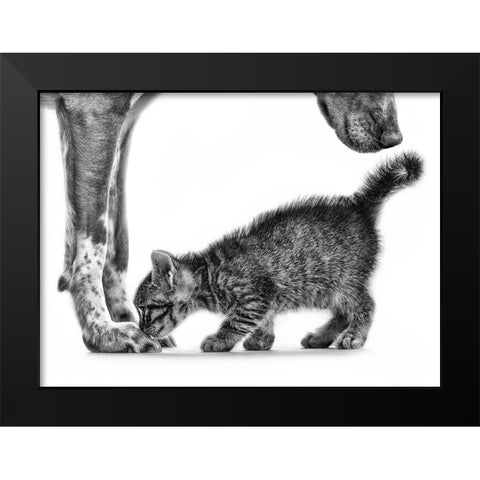 Smell Me Black Modern Wood Framed Art Print by Pi, Monte